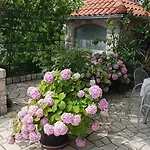 Dragica דירה *