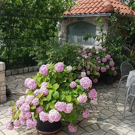 Dragica Apartman *